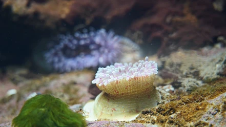 Ausstellung Aquarium KatSchulz DSC0001 größe.jpg