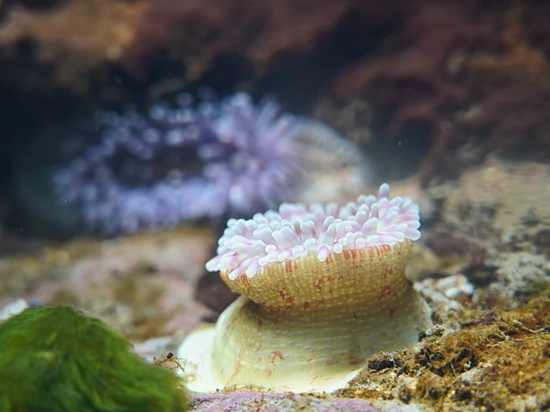 Ausstellung Aquarium KatSchulz DSC0001 größe.jpg
