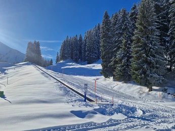 Zauberteppich Stockhütte 01.jpeg