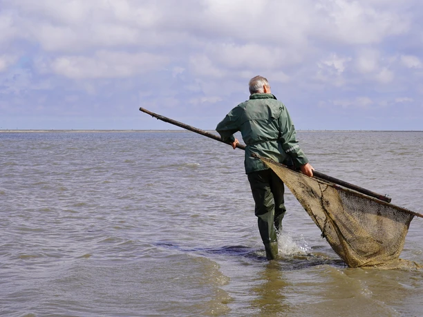 Batt Bz Cuxhaven Batt Bz Cuxhaven