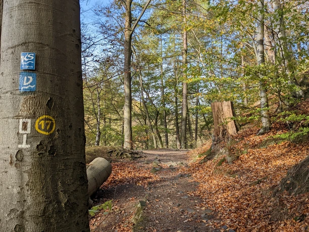 Naturpark-Rundweg 17 zur Löwenburg