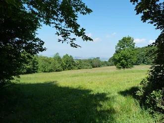 Blick vom Essigberg