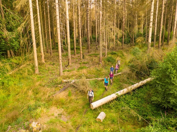 Wanderung mit einem Ranger