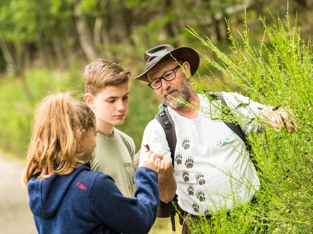 Familientag im Nationalpark Eifel