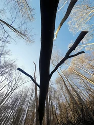 Naturfotografie