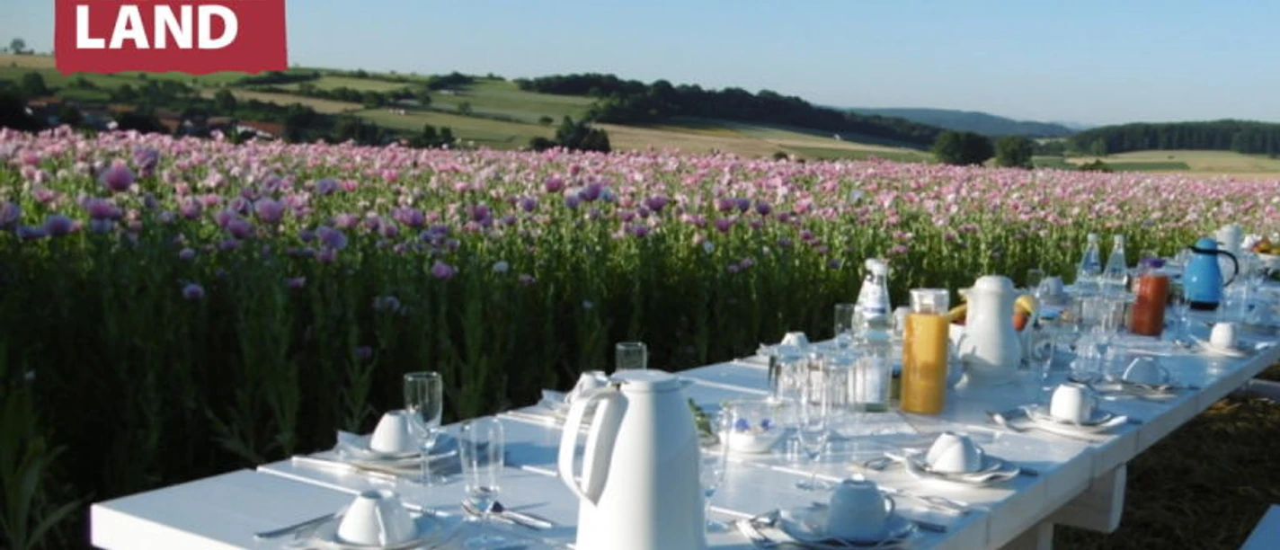 Weißer Tisch im Mohnfeld