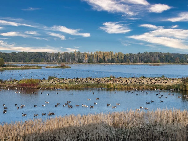 UNESCO-Biosphärenreservat Drömling.jpg