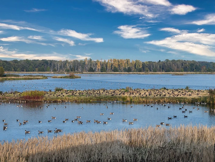 UNESCO-Biosphärenreservat Drömling.jpg