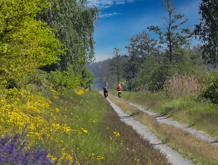 Radtour im Drömling.jpg