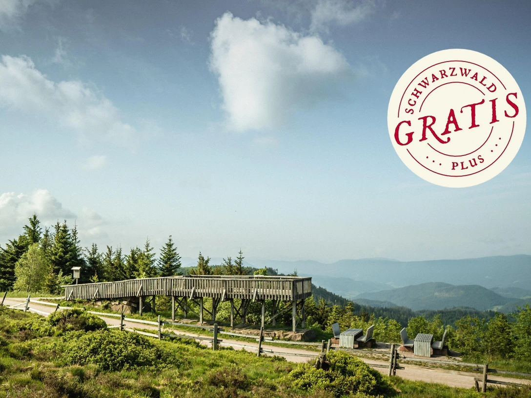 Aussichtsplattform Steinmäuerle