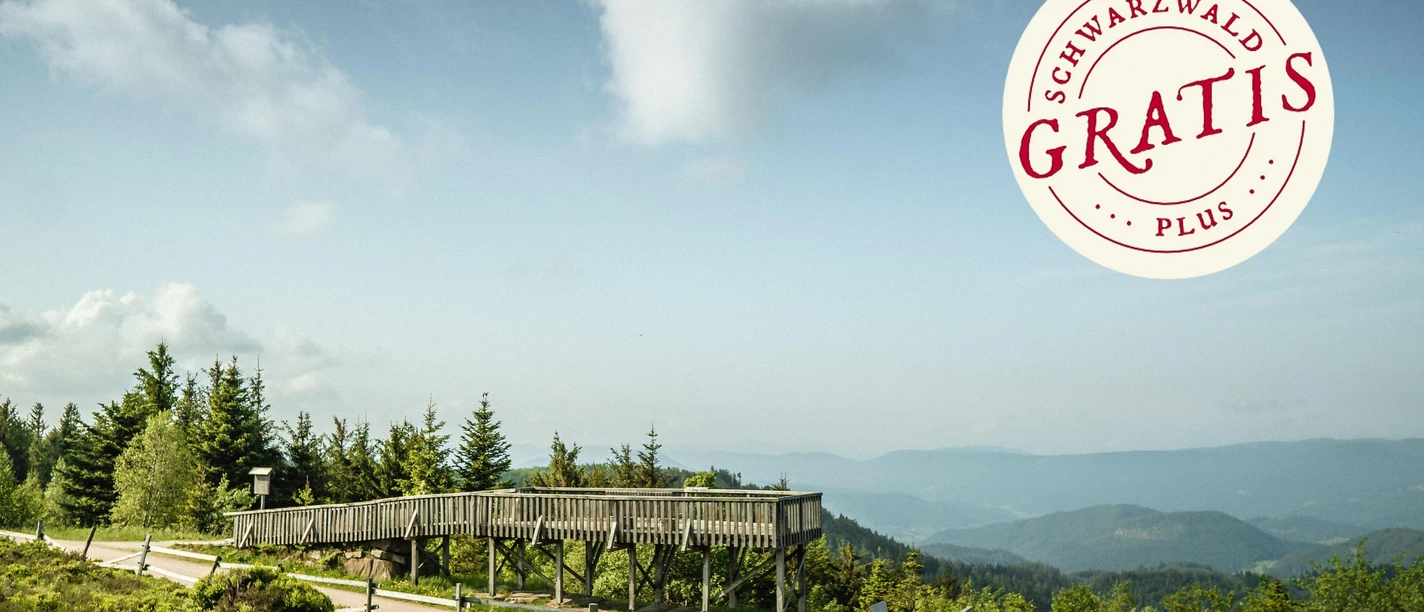 Aussichtsplattform Steinmäuerle