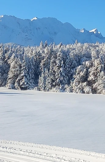 Gästehaus Huber Ausblick aus den Ferienwohnungen