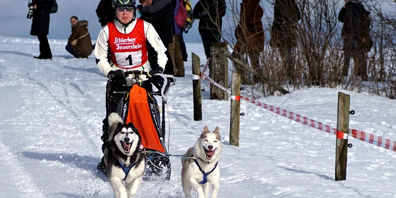 Schlittenhunde_ (c) B. Süss.jpg