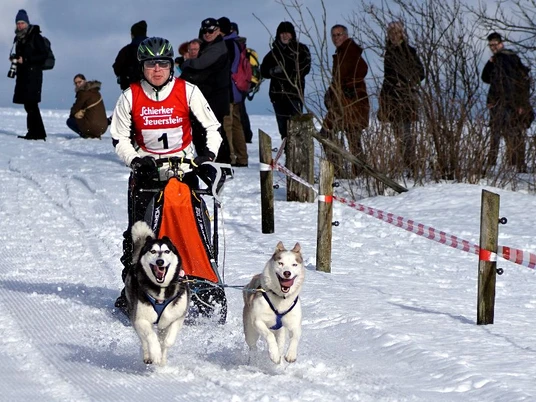 Schlittenhunde_ (c) B. Süss.jpg