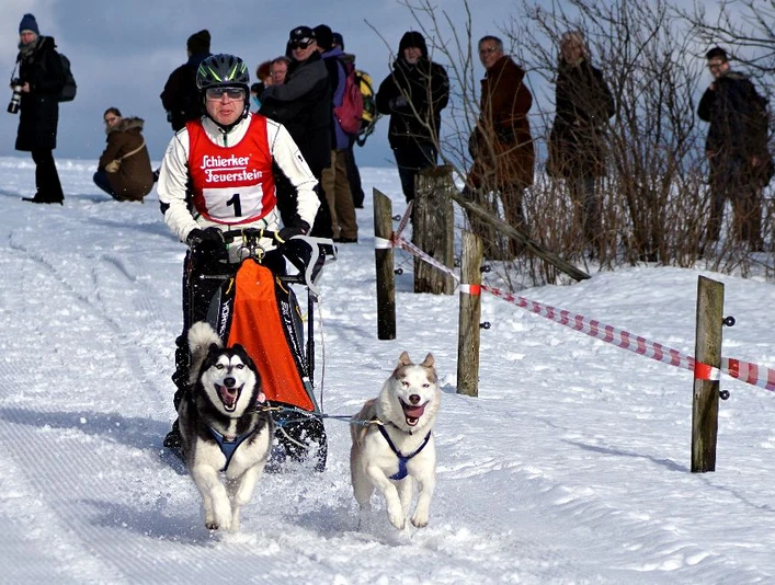 Schlittenhunde_ (c) B. Süss.jpg