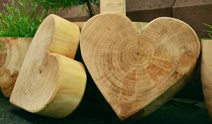 wood-1452655_1280.jpg
