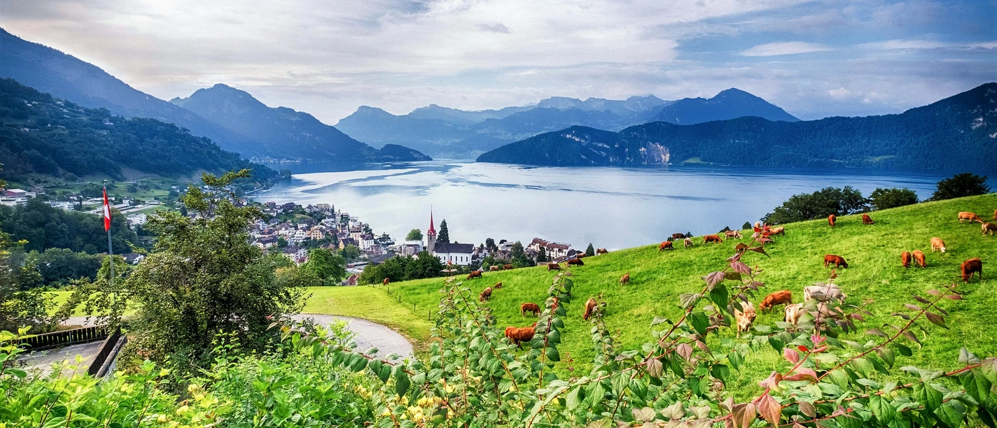 Kurhaus St. Otmar Aussicht vom Kurhaus St. Otmar