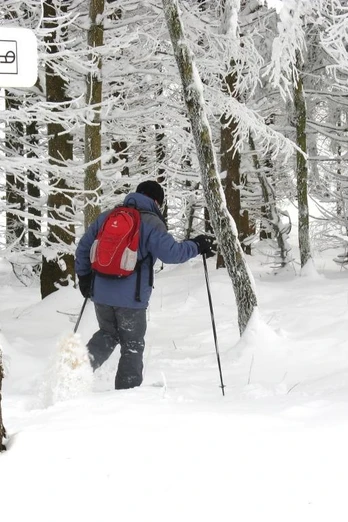 Schneeschuhwandern