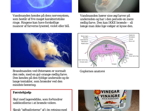 Vandmænd og brandmænd