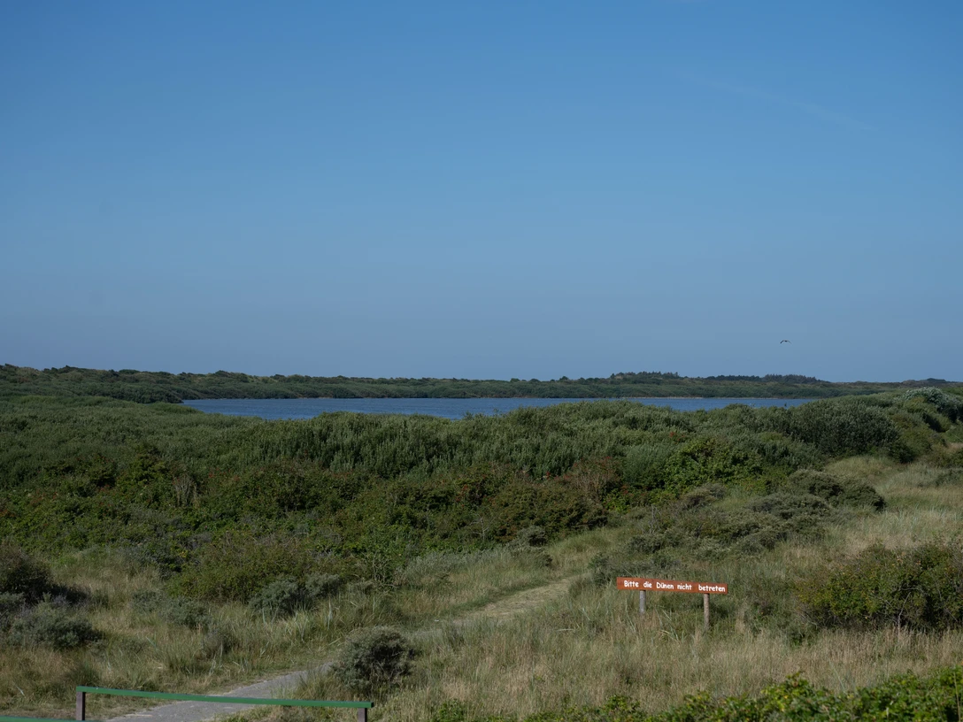 Hammersee auf Juist.jpg Hammersee auf Juist