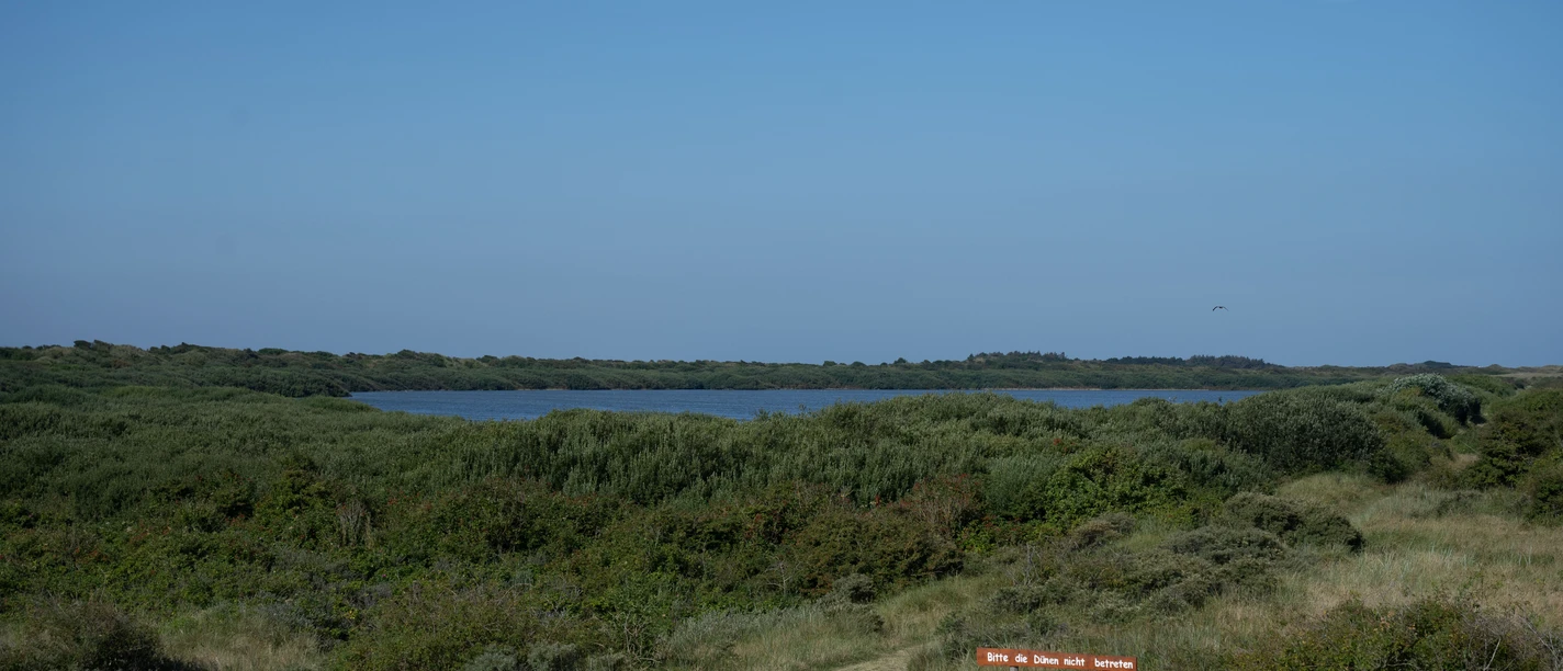 Hammersee auf Juist.jpg Hammersee auf Juist