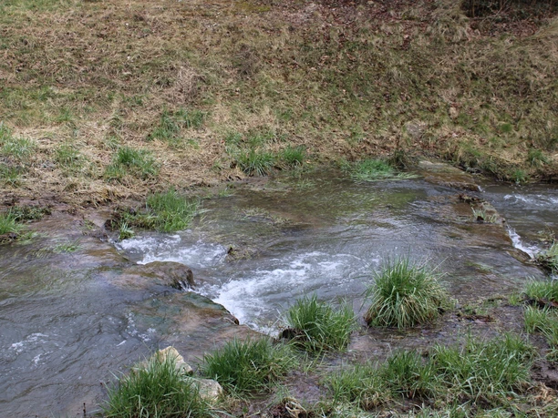 Renaturierter Kälberbach