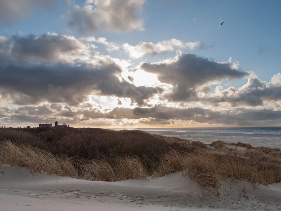 Sagenhaftes Wattenmeer2.jpg Sagenhaftes Wattenmeer2.jpg