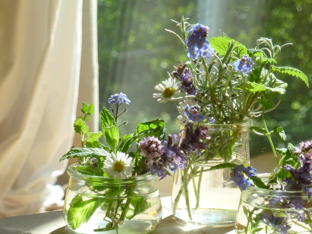 Ferienwohnung Zeitraum Drei Glasvasen mit Wiesenblumen und grünen Blättern in Sonnenlicht auf einem Holztisch vor Vorhang.