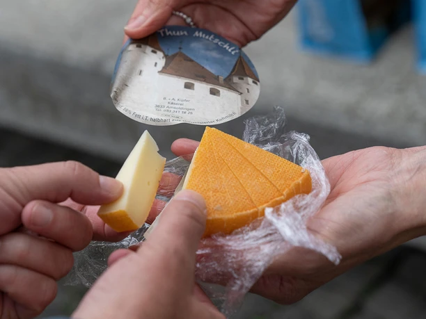 themenfuehrung-sinnliches-thun-kaese.jpg