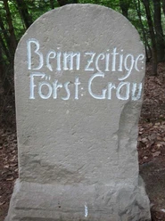 Vorderseite Wolfstein