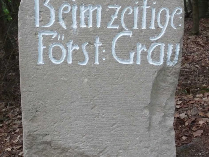 Vorderseite Wolfstein