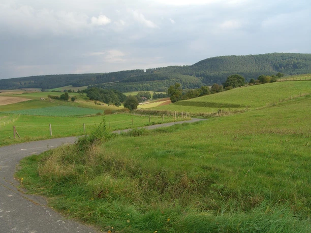 Rauschenberg_Panoramaweg2.jpeg
