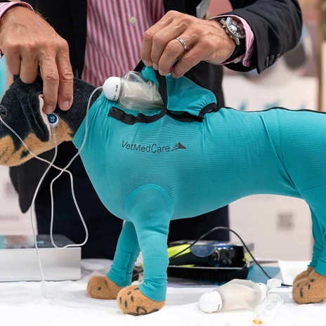 Your meeting & conference in Leipzig: 11. Leipziger Tierärztekongress vetmedcare