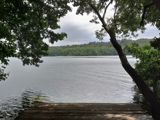 20190102_022428.jpg Blick von der Einsatzstelle auf den ruhigen See mit grüner Natur.