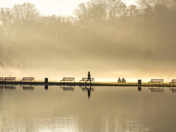 Adenauer Weiher Im Nebel laufen Menschen am ruhigen Adenauerweiher, umgeben von kahlen Bäumen.People walk in the fog along the quiet Adenauerweiher pond, surrounded by bare trees.