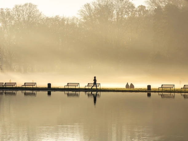 Adenauer Weiher Im Nebel laufen Menschen am ruhigen Adenauerweiher, umgeben von kahlen Bäumen.