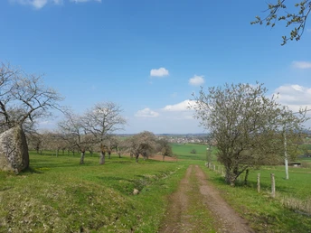 Kirschenwäldchen Schönhausen