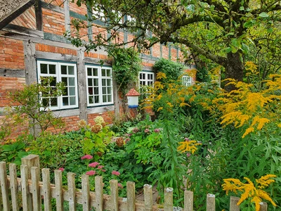 0_Werner Wilke - Rittrumer Bergepadd Bauernhaus mit Blumen.jpg