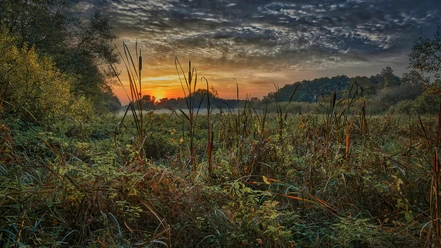 Markus Drygala_Poggenpohlsmoor im Sonnenuntergang.jpg