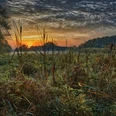 Markus Drygala_Poggenpohlsmoor im Sonnenuntergang.jpg