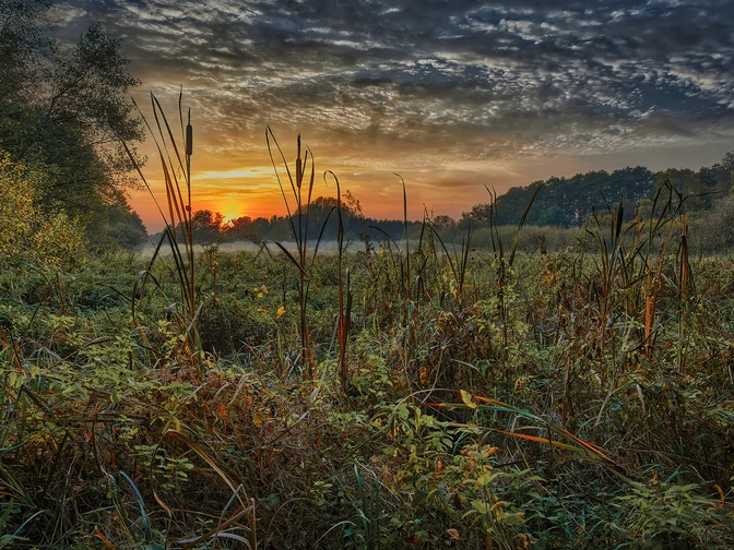 Markus Drygala_Poggenpohlsmoor im Sonnenuntergang.jpg