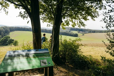 Panoramatafel Weg der Blicke Panoramatafel von "Weg der Blicke" unter Bäumen, mit Blick auf weite Felder und zwei Personen.