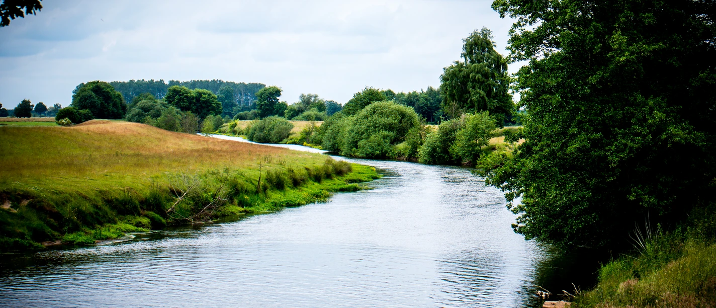 Hatten Hunte von Stephan Fischer.jpg