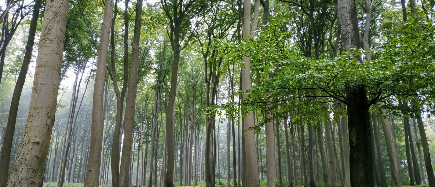 Twistringen_Entdeckertour Heiligenloh_4_Harms Holt.jpg