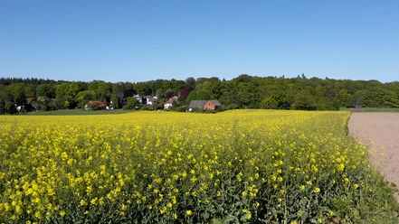 Syke_Wanderweg_Um die Siebenhäuser25.jpg