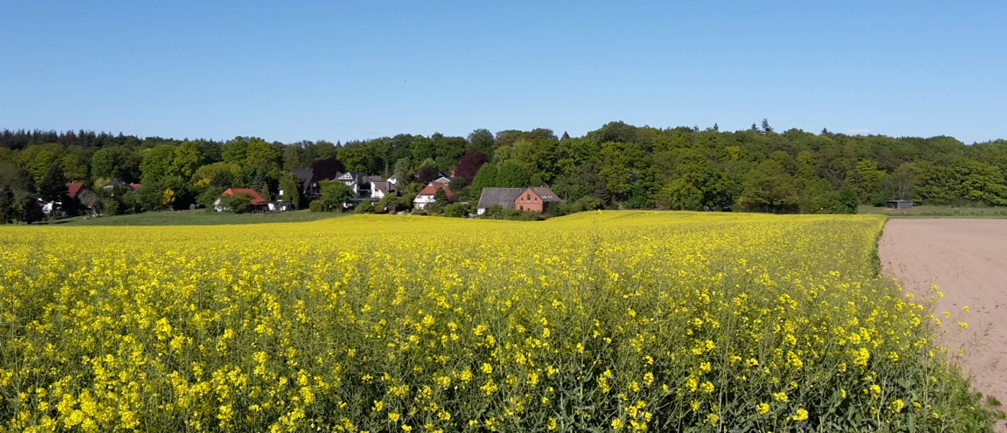 Syke_Wanderweg_Um die Siebenhäuser25.jpg