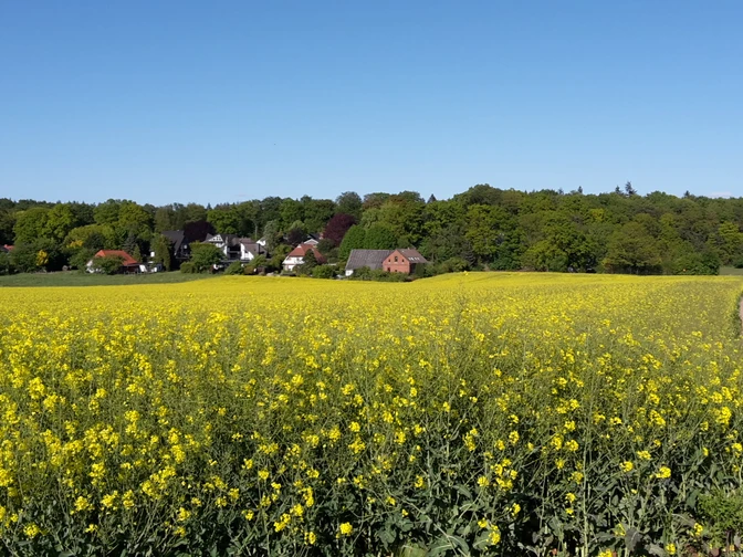 Syke_Wanderweg_Um die Siebenhäuser25.jpg