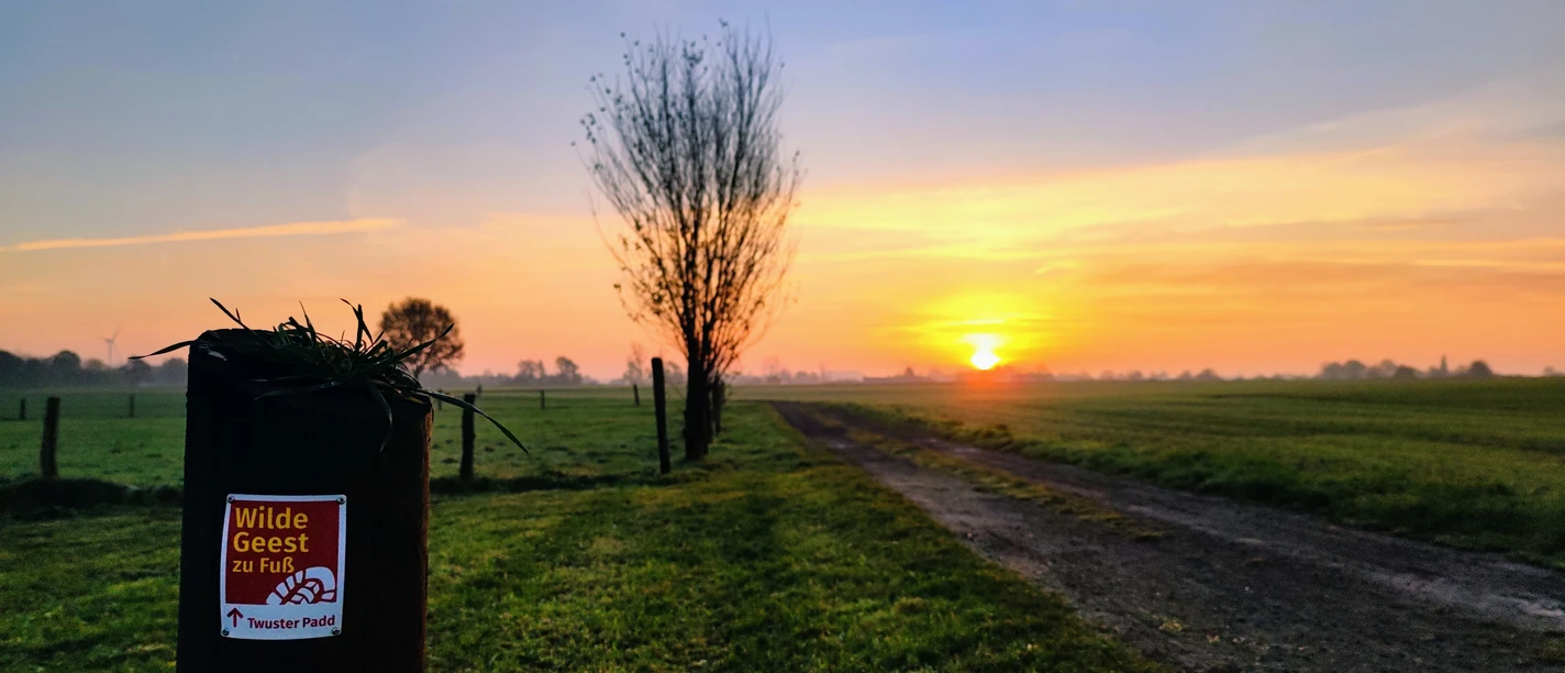 Twistringen_Twuster Padd_Landschaft beim jüdischen Friedhof - Silke Perin.jpg