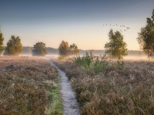 Markus Drygala - Pestruper Gräberfeld - Sonnenaufgang.jpg