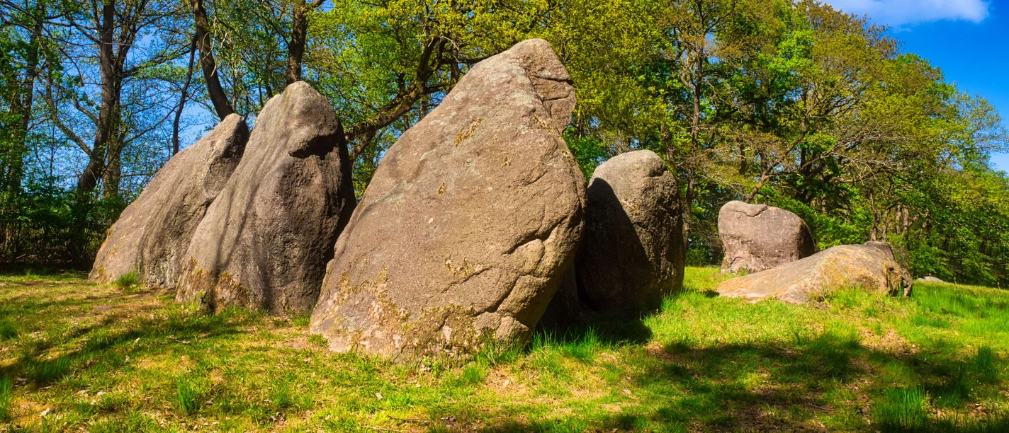 Visbeker Braut im Frühling Visbeker Braut im Frühling
